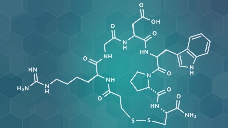 Peptides and Their Functions