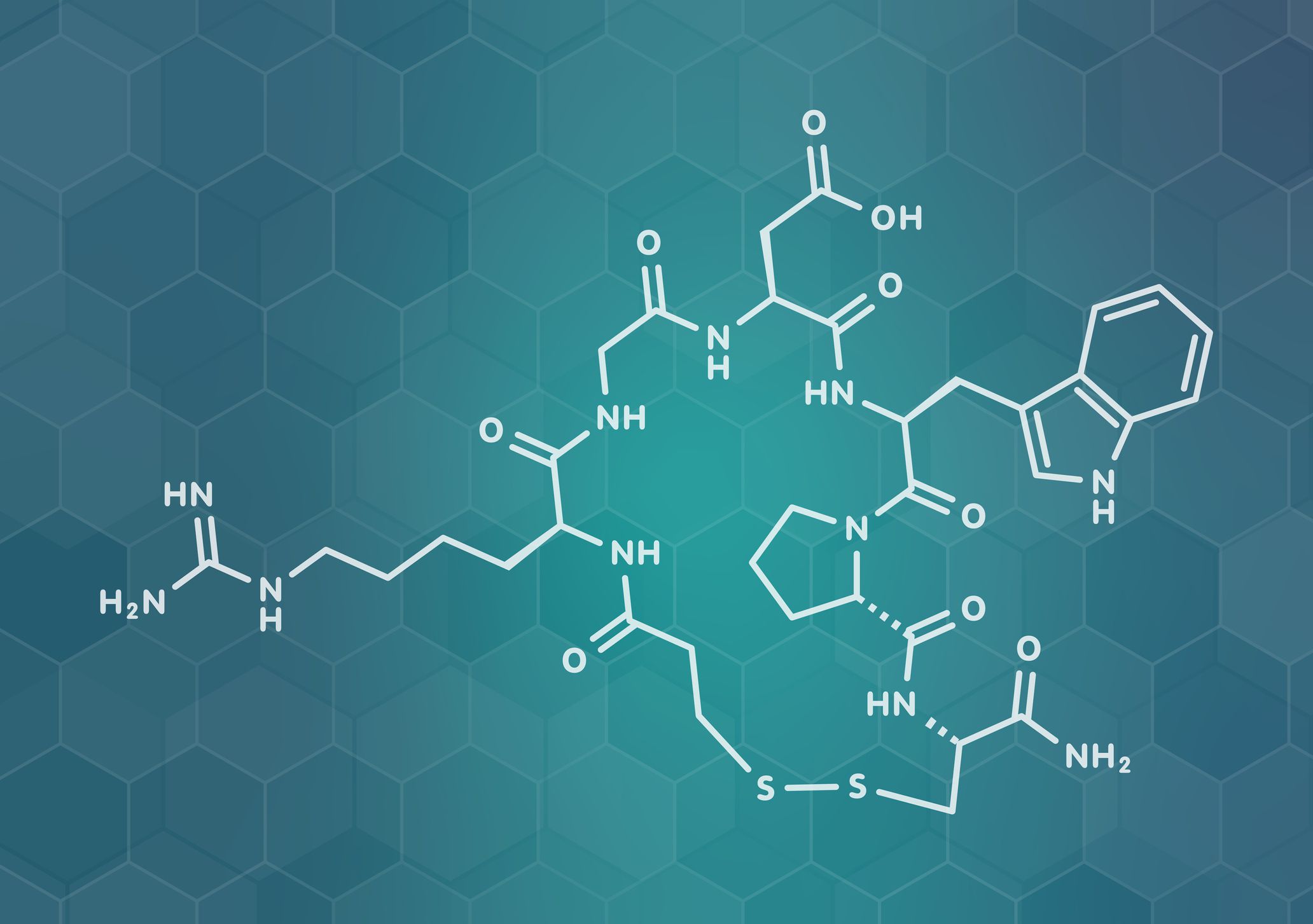 Peptides and Their Functions