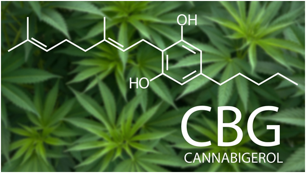 The New and Promising Cannabinoid- CBG or Cannabigerol