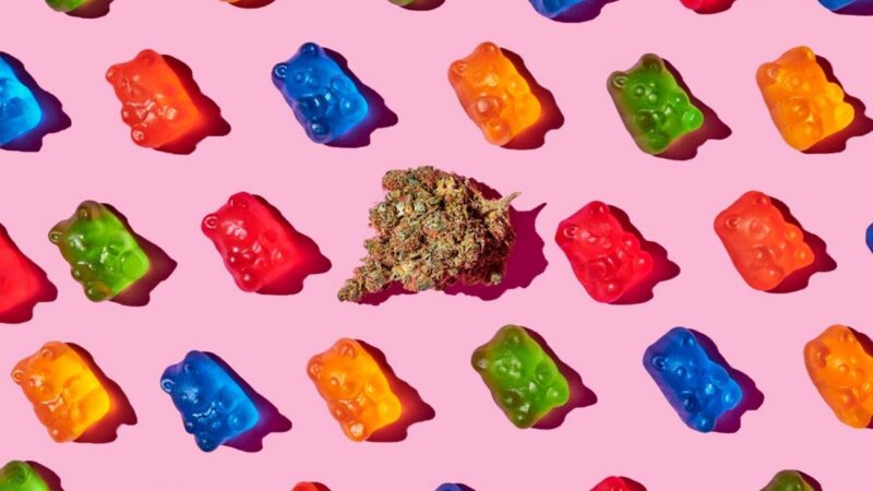 Why Are CBD Gummies The Best Form Of CBD?