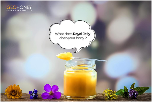 What Does Royal Jelly Do To Your Body?