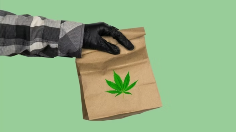 The Future of Cannabis in Rocklin: A Look into the World of On-Demand Weed Delivery