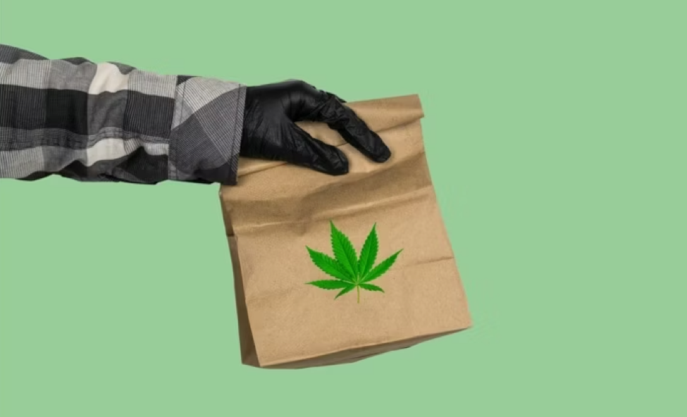 The Future of Cannabis in Rocklin: A Look into the World of On-Demand Weed Delivery