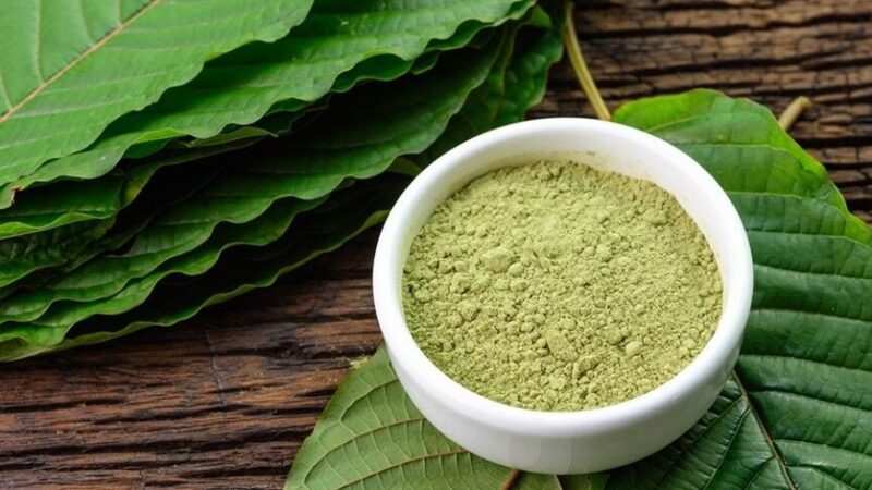 Health Benefits of Kratom Powder