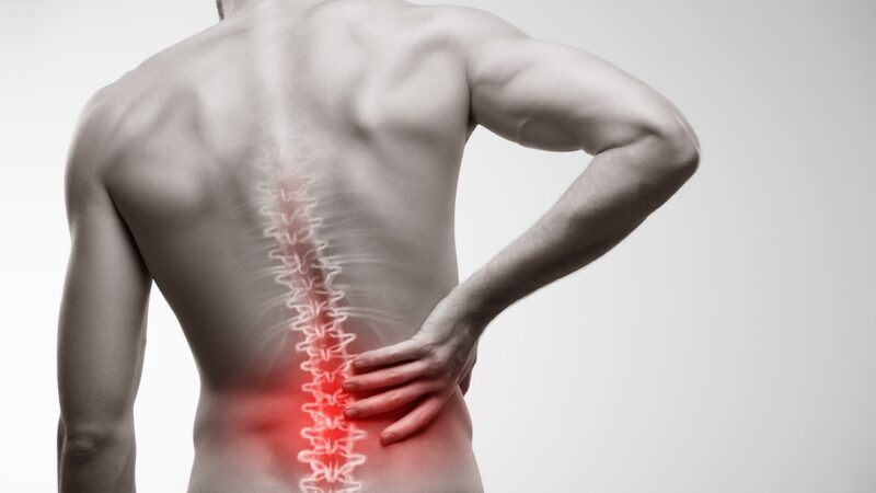 Road To Recovery: Sailing Through Lower back pain
