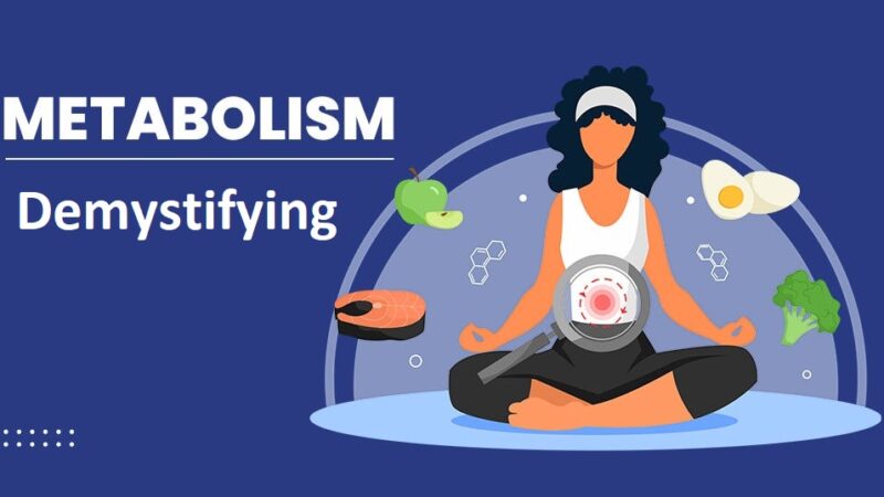 Demystifying Metabolism