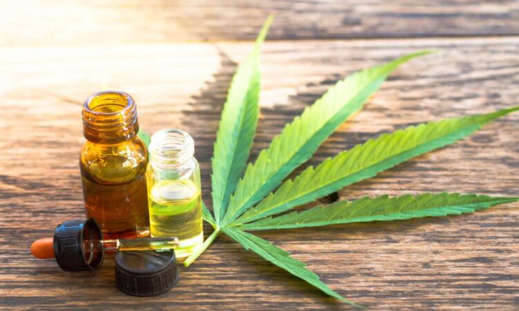Choosing the right CBD oil strength for your dog